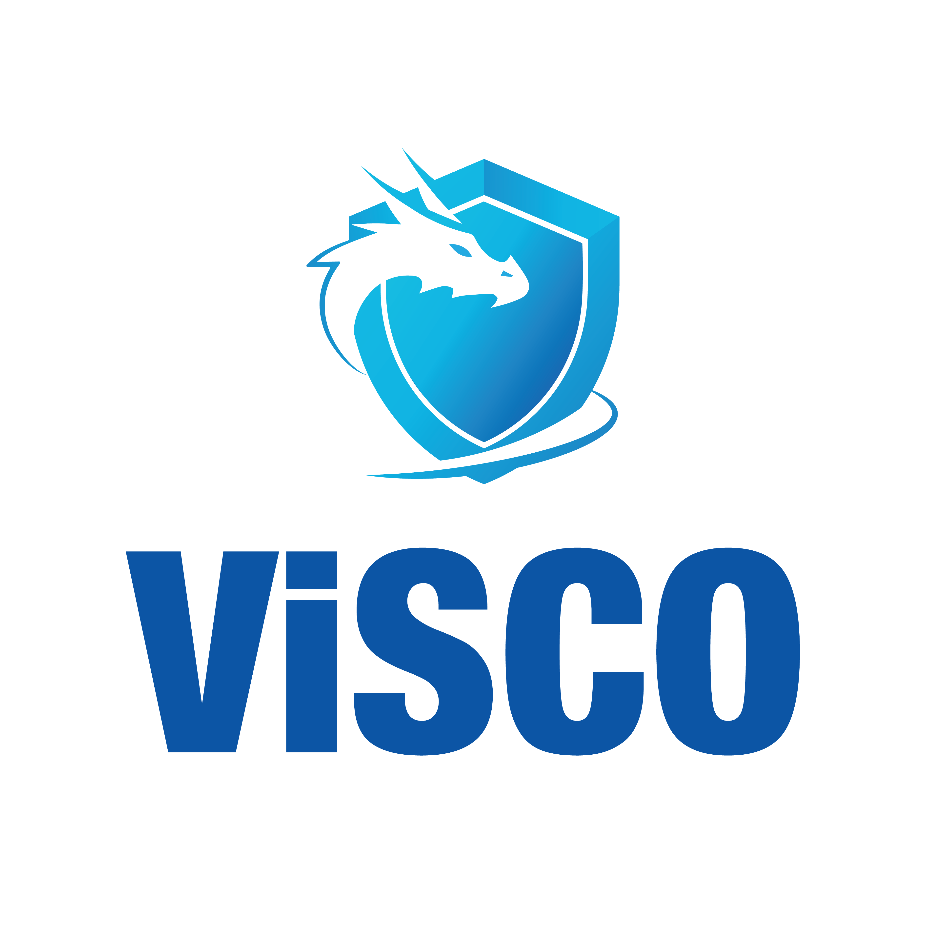 Công ty Cổ phần HCXD Visco Việt Nam